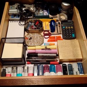 Professional Organizer